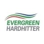 Evergreen Energy & Investment