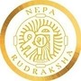 Nepa Rudraksha
