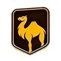 Camel Electric Motorcycle Technology