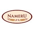nameru-food-industries-pvt-ltd logo